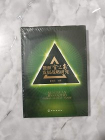 能源“金三角”发展战略研究 平装 正版内页干净。【正版现货】【无写划】【实拍图发货】【当天发货】