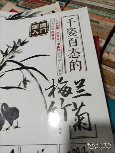 国画入门 千姿百态的梅兰竹菊