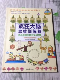 疯狂大脑思维训练营-幼小衔接全脑开发400题