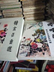 韩金正画选、韩金正书画艺术（两本合售）