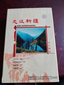 走进新疆VCD4张(全新未拆封)