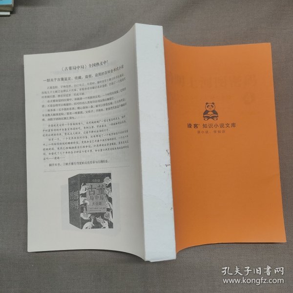 清明上河图密码4：隐藏在千古名画中的阴谋与杀局