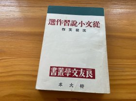 从文小说习作选 特大本
