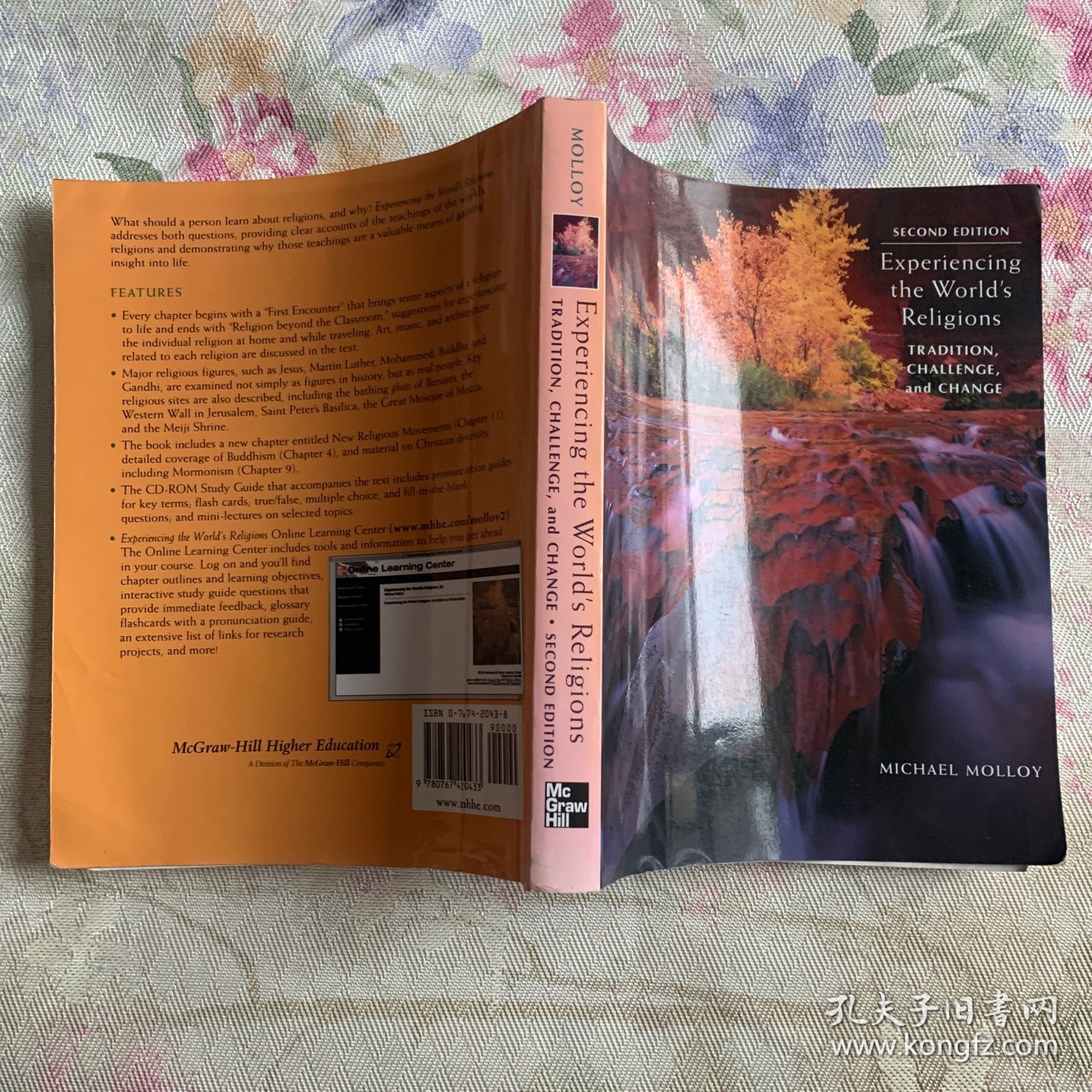体验宗教：传统、挑战与嬗变 experiencing the world's religions