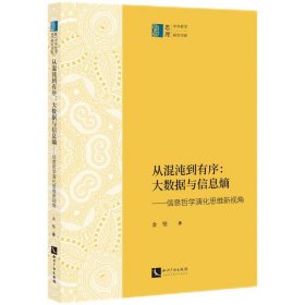 从混沌到有序：大数据与信息熵——信息哲学演化思维新视角