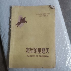 将军的星期天