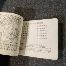 玉娇龙之六——龙潜虎归 小人书连环画 实物拍摄