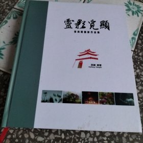 靈影觅顯〔张向明摄影作品集〕