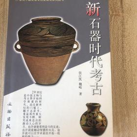 新石器时代考古：20世纪中国文物考古发现与研究丛书