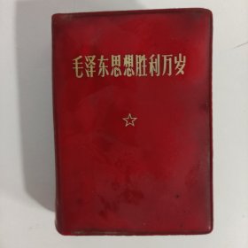 毛泽东思想胜利万岁 1969 北京
