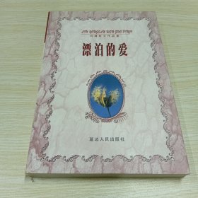 漂泊的爱