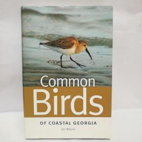 Common Birds of Coastal Georgia