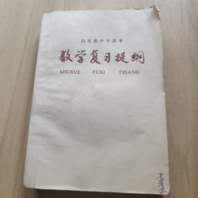 山东省中学课本 数学复习提纲