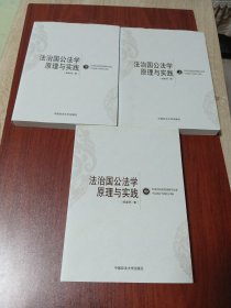 法治国公法学原理与实践（上中下）