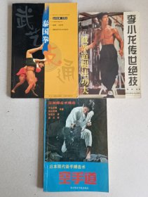 空手道 泰国拳 李小龙截拳道腿法功夫 （三册）