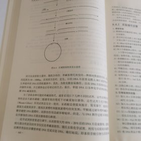 最新分子生物学实验技术