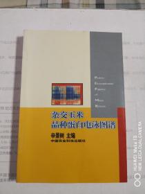 杂交玉米品种蛋白电泳图谱:[中英文本]