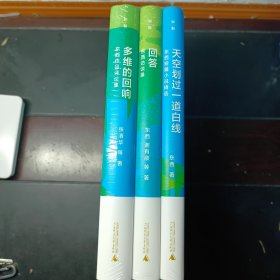 【东西签名本】新晋茅盾文学奖得主东西系列：天空划过一道白线（签名本）+回答+多维的回响（精装 共3册）