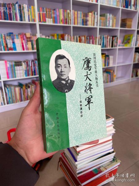 鹰犬将军：宋希濂自述