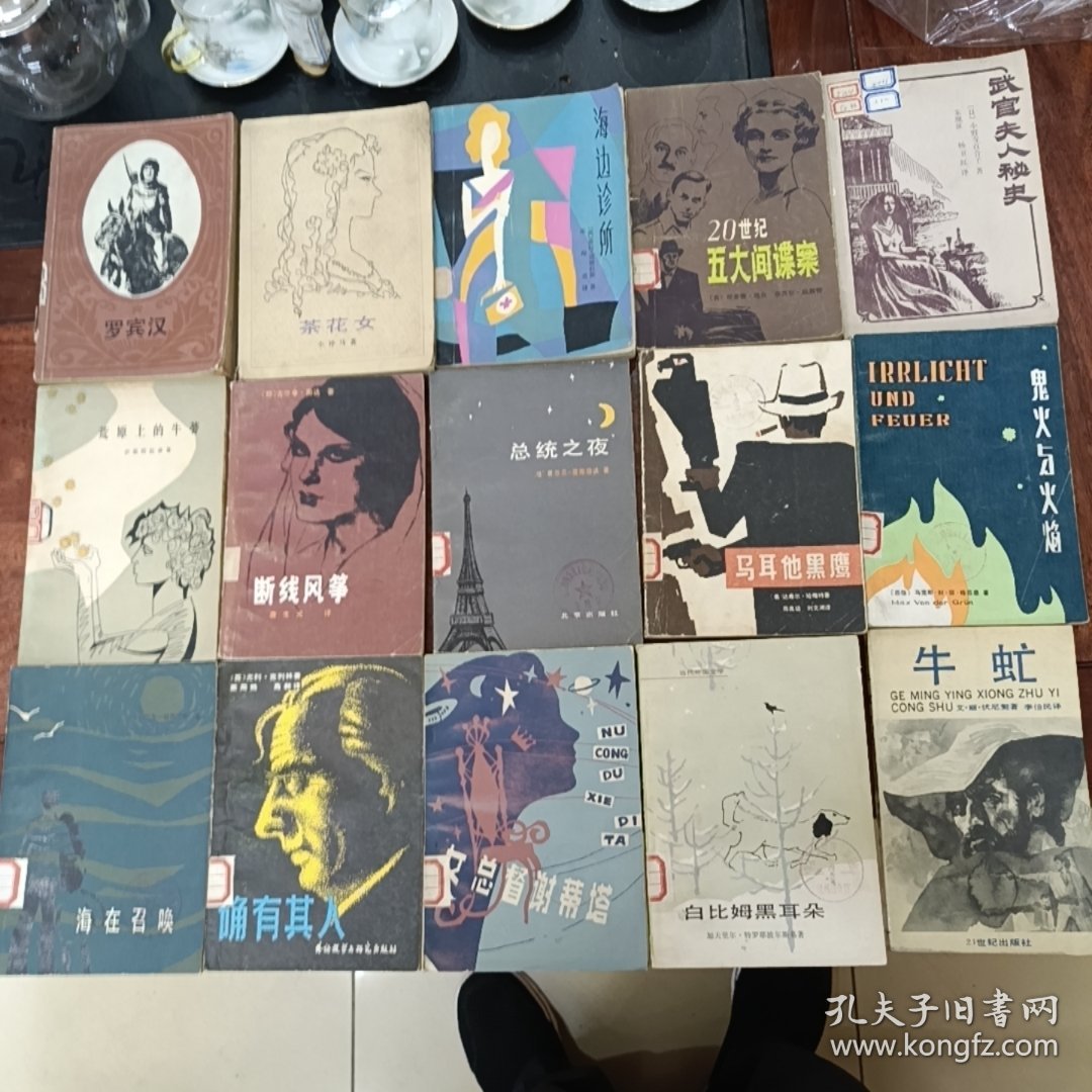 八九十年代外国名著泽作一一罗宾汉茶花女牛虻等15册合拍，几乎都是品好的未阅本，其中不乏精美的插图本，见图