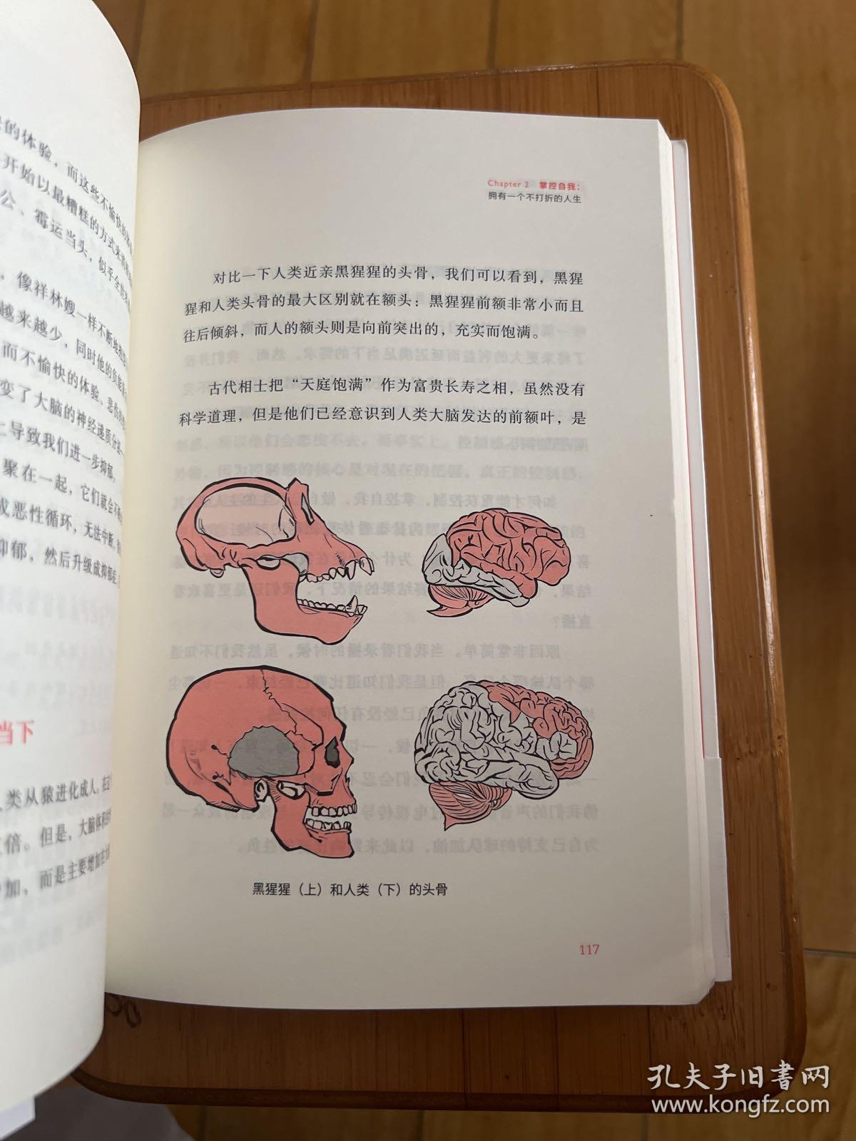 心理学通识：摆渡人永远都是自己（刘嘉心理学基础30讲，《最强大脑》科学判官、北大教授魏坤琳推荐，得到APP超过10万人都在学）