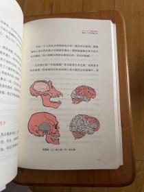 心理学通识：摆渡人永远都是自己（刘嘉心理学基础30讲，《最强大脑》科学判官、北大教授魏坤琳推荐，得到APP超过10万人都在学）