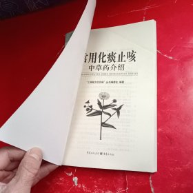 常用化痰止咳中草药介绍