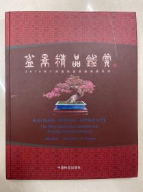 盆景精品鉴赏：2010年广州国际盆景邀请展实录