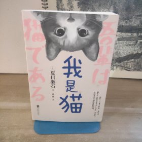 我是猫