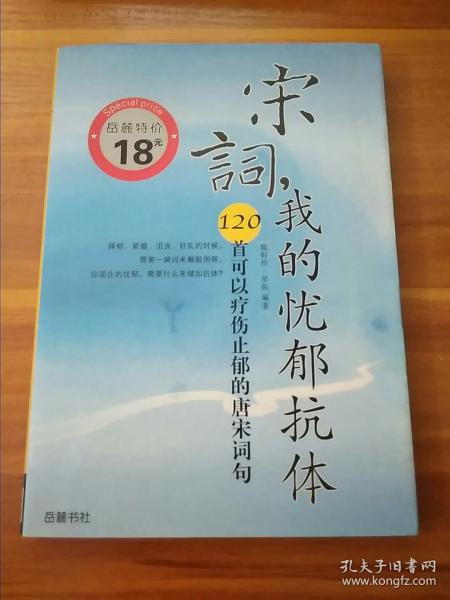 宋词，我的忧郁抗体：120首可以疗伤止郁的唐宋词句——诗疗馆丛书