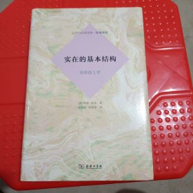 实在的基本结构 论形而上学 (英)柯林·麦金 著 高新民,徐梦蓓