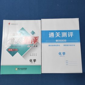 通关测评 化学 必修第一册