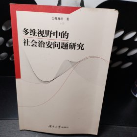 多维视野中的社会治安问题研究