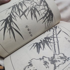 芥子园画传（第二集 兰竹梅菊）