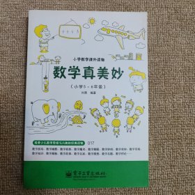 小学数学课外读物：数学真美妙（小学5～6年级）