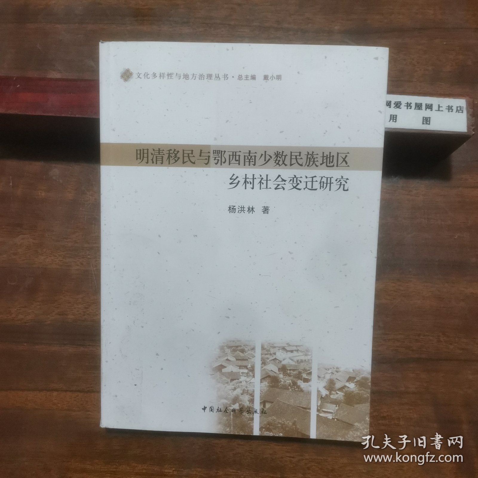 文化多样性与地方治理丛书：明清移民与鄂西南少数民族地区乡村社会变迁研究