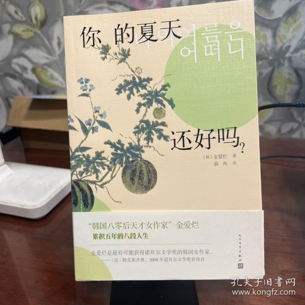 韩国文学丛书：你的夏天还好吗？