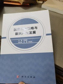 国家创新战略与新兴产业发展