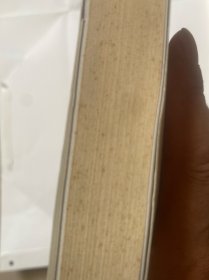 溥心畲传（王家诚传记精品系列）