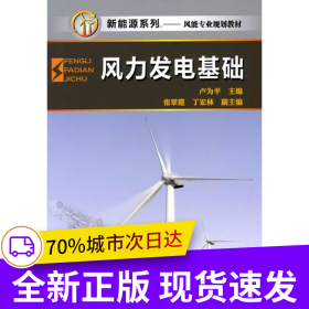 風(fēng)力發(fā)電基礎(chǔ)(盧為平)
