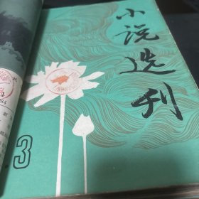 小说选刊1984年1-12缺第2期共11册