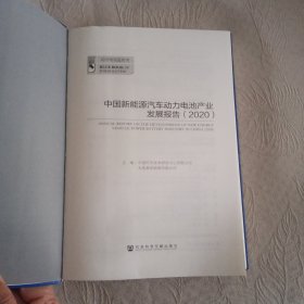 动力电池蓝皮书：中国新能源汽车动力电池产业发展报告（2020）