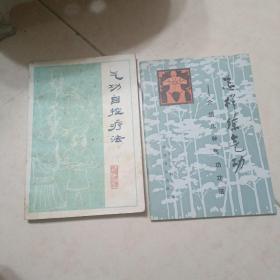 怎样练气功:介绍几种气功功法，气功自控疗法【2册合售。】