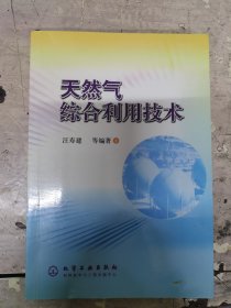 天然气综合利用技术