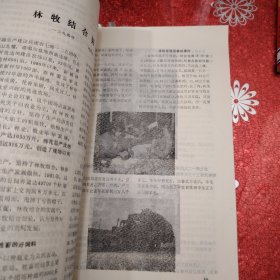 新疆牧业科技 1982年 第4期