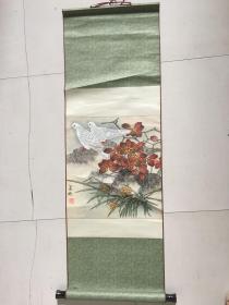 吴迪画，鸽子图