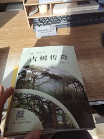 古树传奇