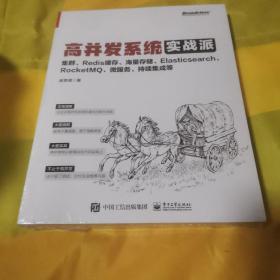 高并发系统实战派：集群、Redis缓存、海量存储、Elasticsearch、RocketMQ、微服务、持续集成等  d02