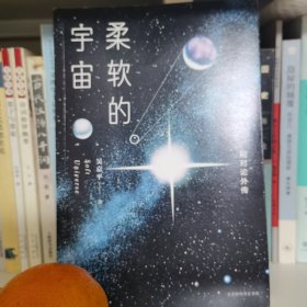 柔软的宇宙：相对论外传