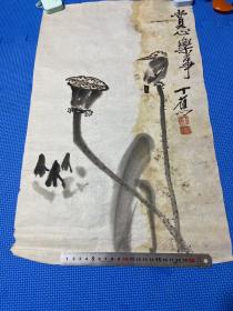 丁蕉画（水印）